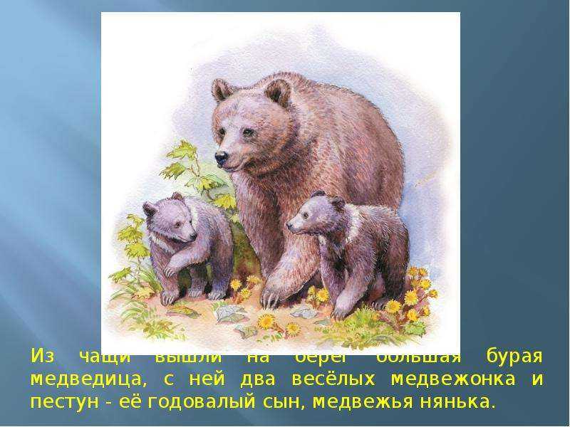 Сказки и рассказы в. в. бианки