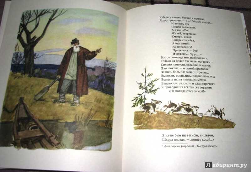 Николай некрасов – дедушка