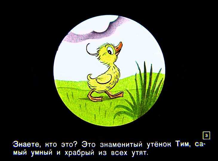 Книга знаменитый утёнок тим читать онлайн