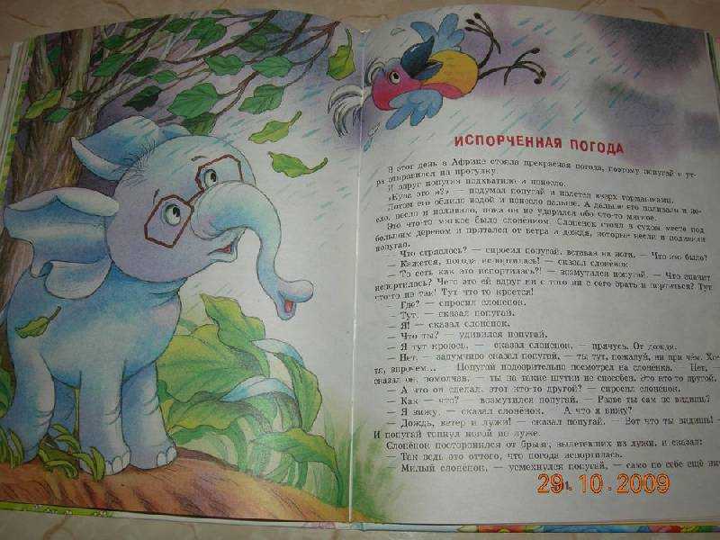 Ирис ревю — сказка про стеснительного мальчика