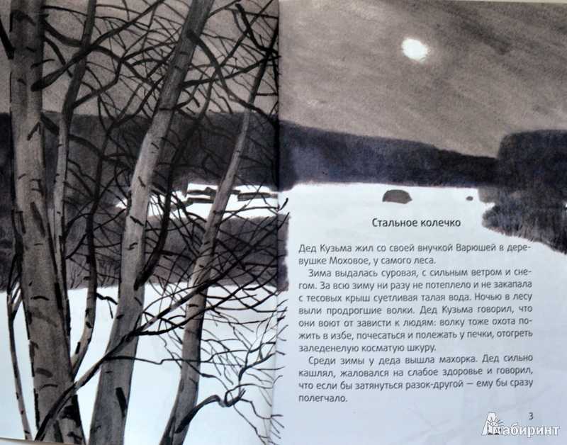 Паустовский «стальное колечко»