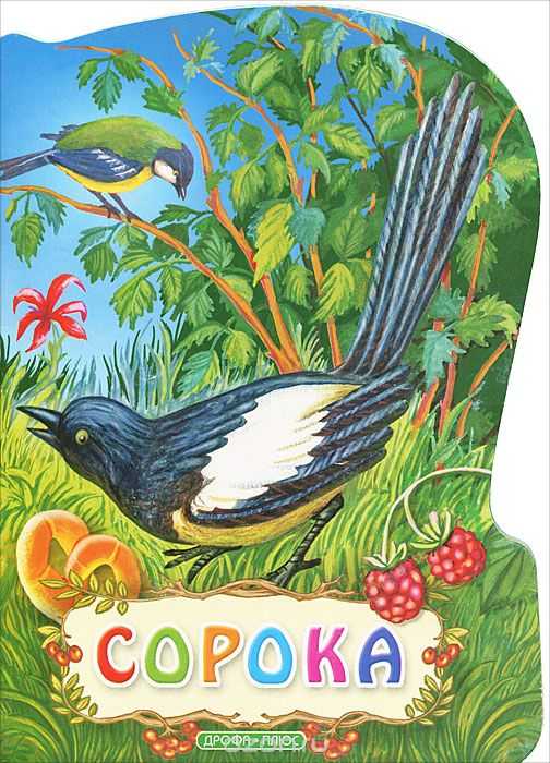 Сказку 40. Сказка сорока толстой. Сорока а н толстой сказка. Алексей толстой сорока. Иллюстрации к сказке Толстого сорока.