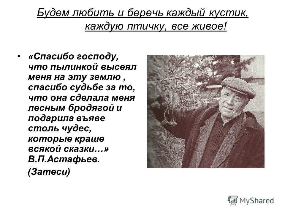 Краткое содержание астафьев хвостик для читательского дневника