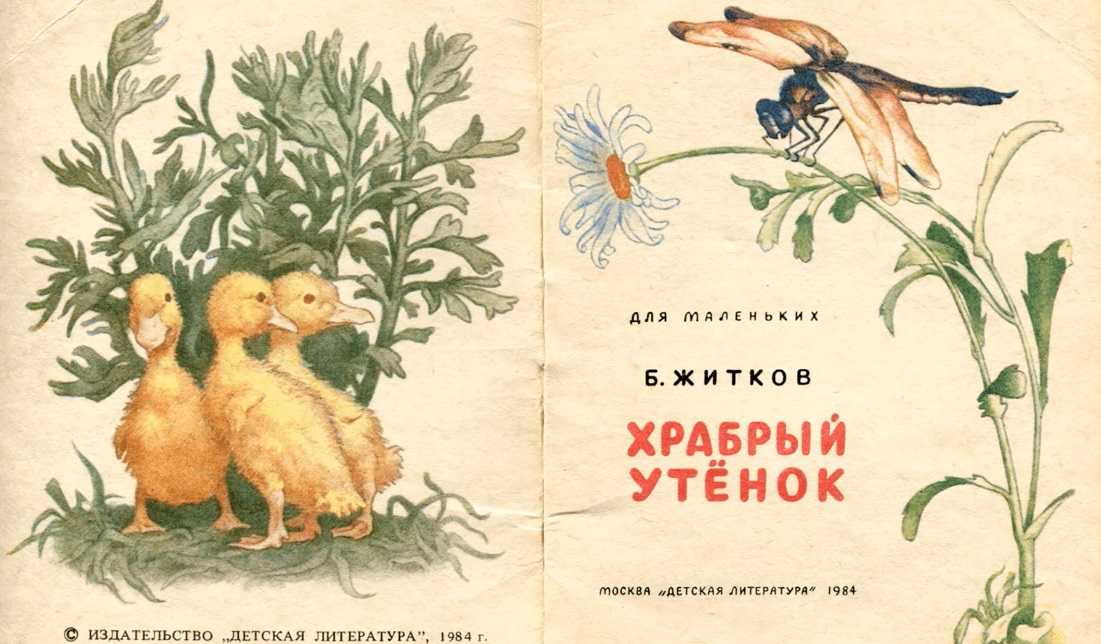 Сказка самый маленький утёнок, ангел каралийчев - читать для детей онлайн 👶🏻 (скачать в doc и pdf) ❤️