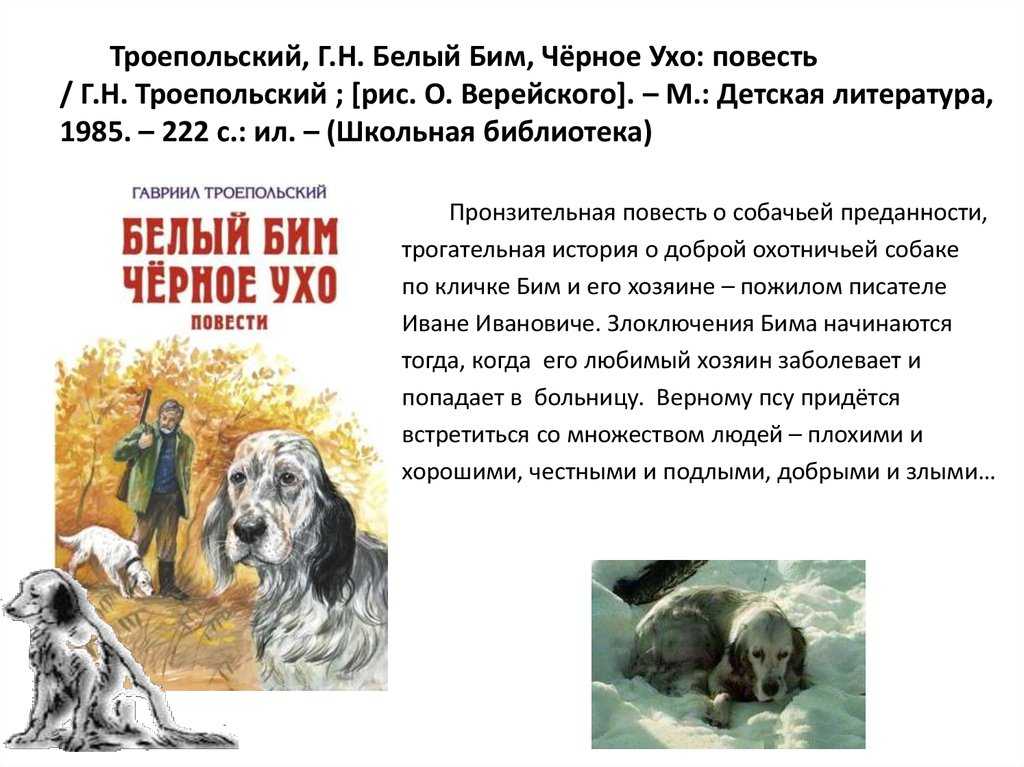 Читать онлайн "рассказы, сказки, стихи [сборник]" автора осеева валентина александровна - rulit