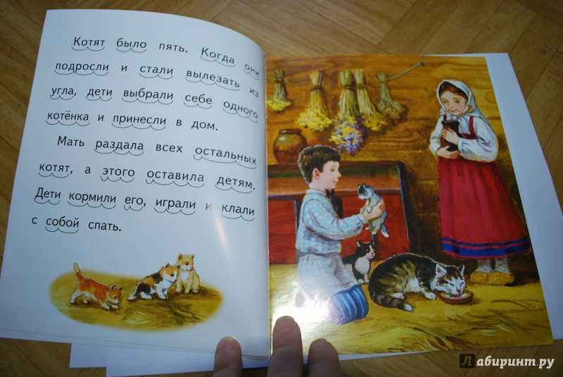 Читательский дневник «котёнок» льва толстого