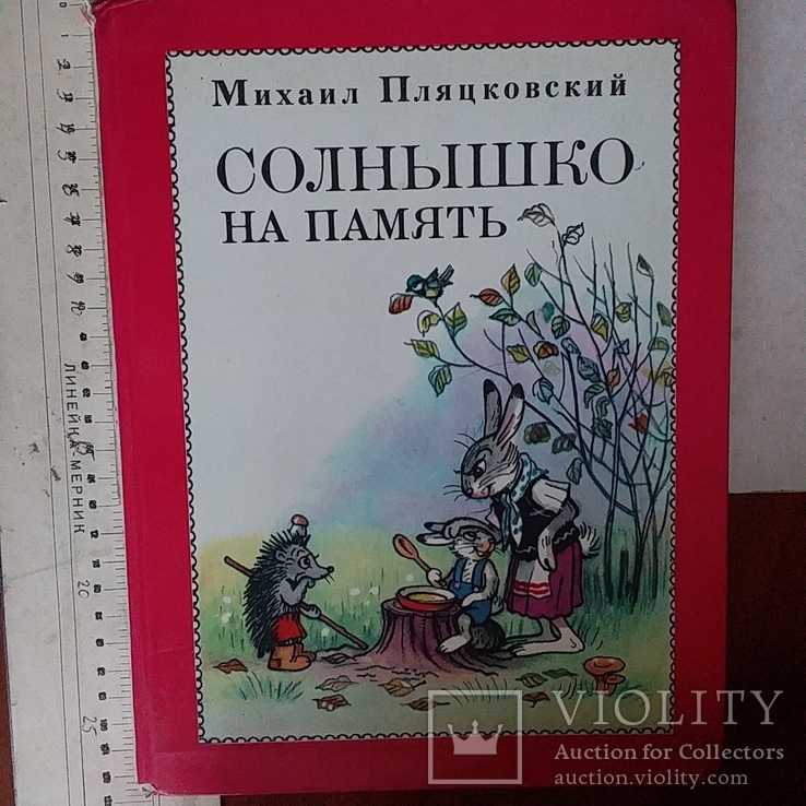 Михаил пляцковский ★ солнышко на память читать книгу онлайн бесплатно