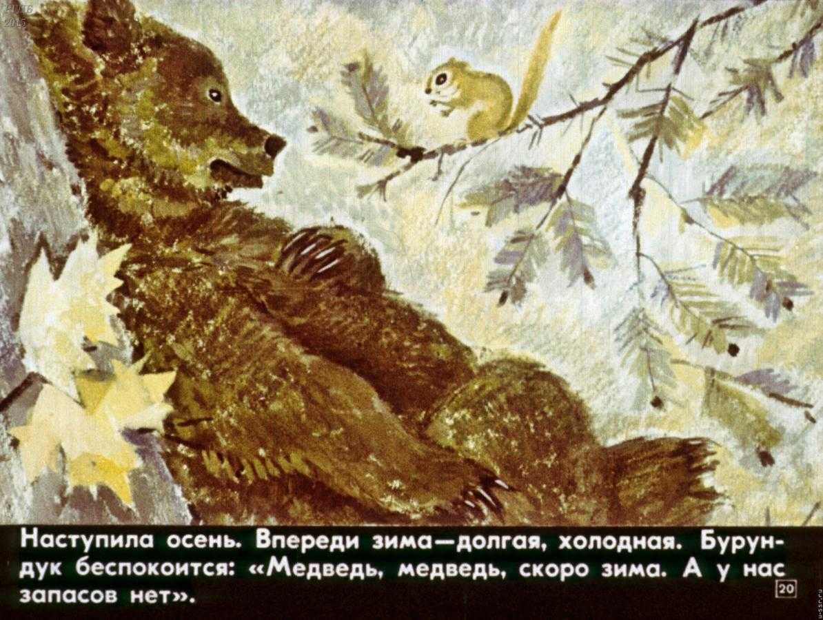 Как медведь и бурундук дружить перестали - нанайские сказки: читать с картинками, иллюстрациями - сказка dy9.ru