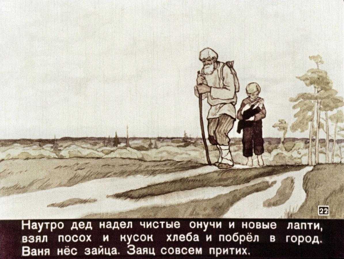 Заячьи лапы
