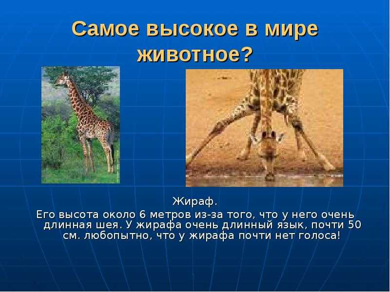 Оля артюхина: сказки