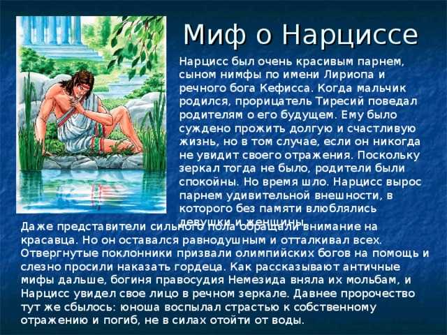 Нарцисс