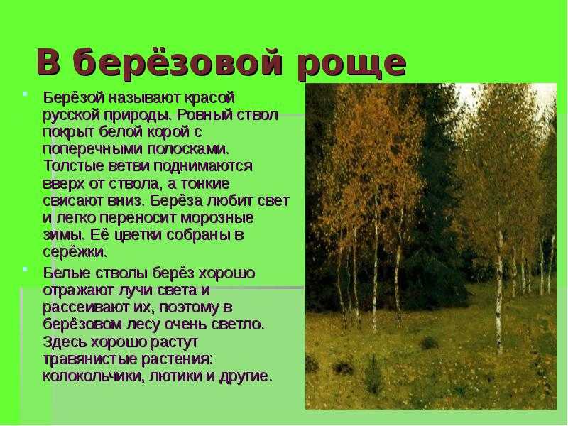 Так говорил заратустра скачать fb2, epub книгу ницше фридрих вильгельм, читать онлайн
