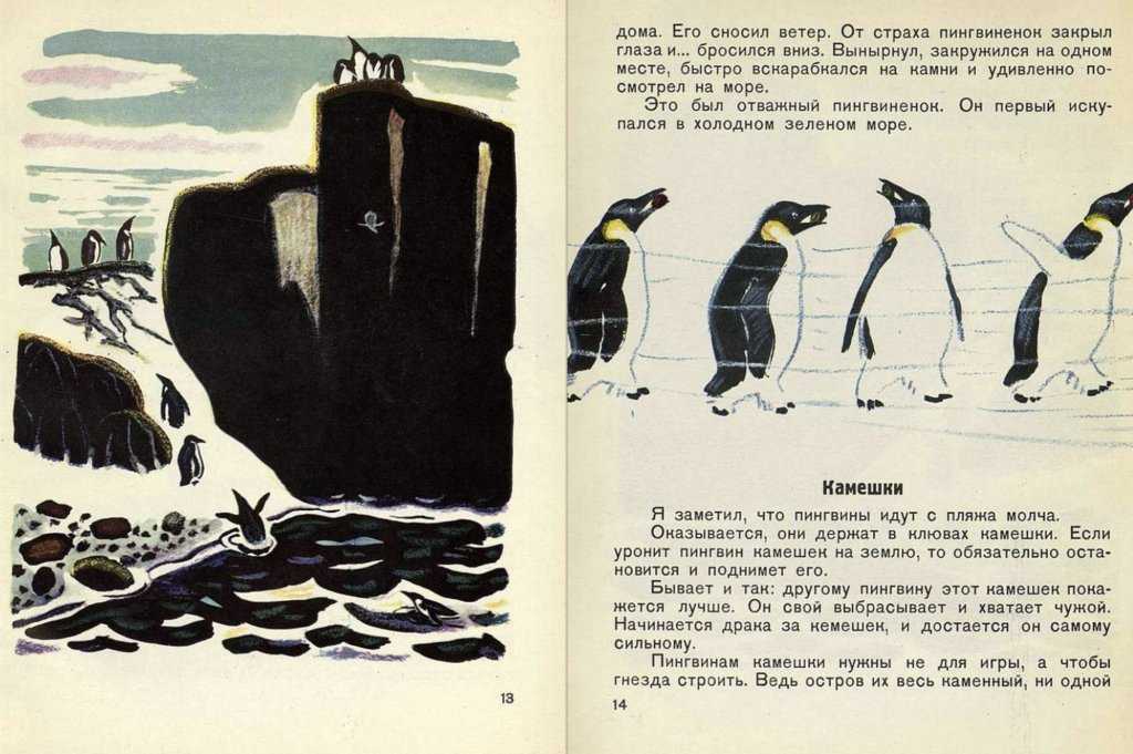 Про пингвинов рассказ читать. Май Митурич пингвины. Про пингвинов Снегирев книга. Чтение рассказов г. Снегирева «про пингвинов»..