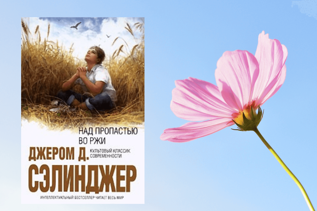 Характеристика образа холдена колфилда в романе «над пропастью во ржи» джерома селинджера (школьные сочинения). главный герой романа «над пропастью во ржи» холден колфилд