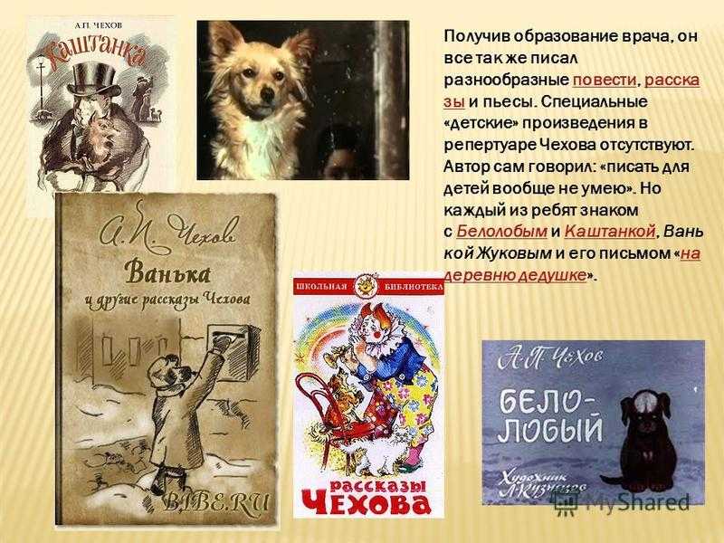 10 фактов о чехове, которые вы не знали