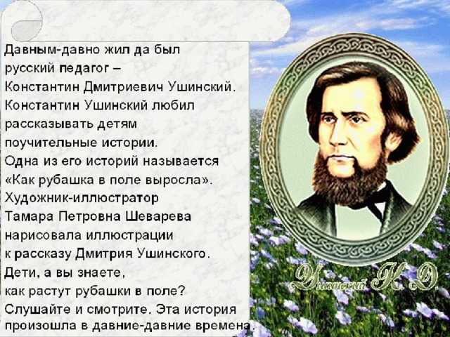 Рассказы о животных