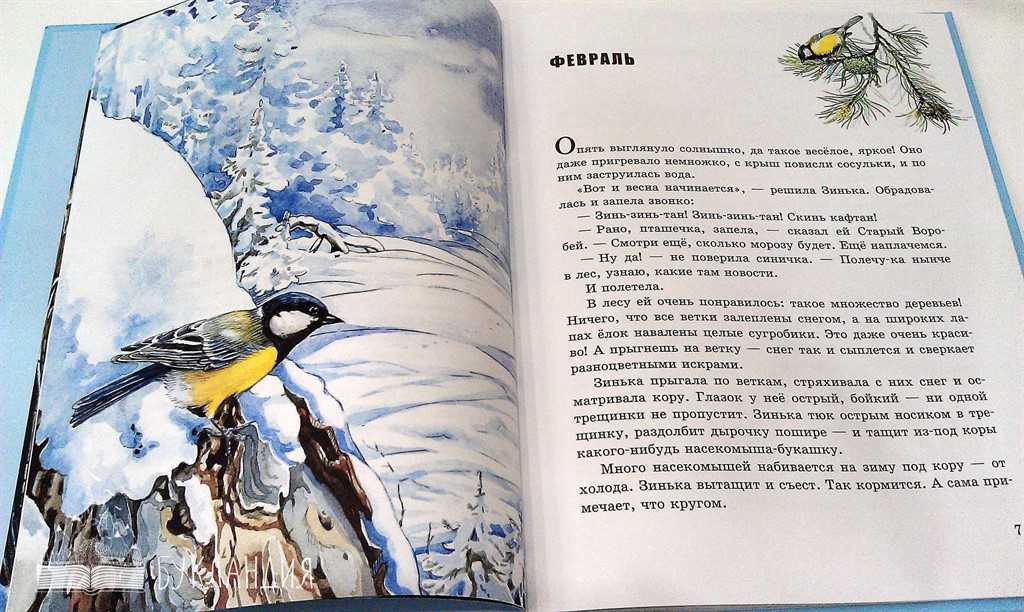 Краткое содержание шукшин охота жить для читательского дневника