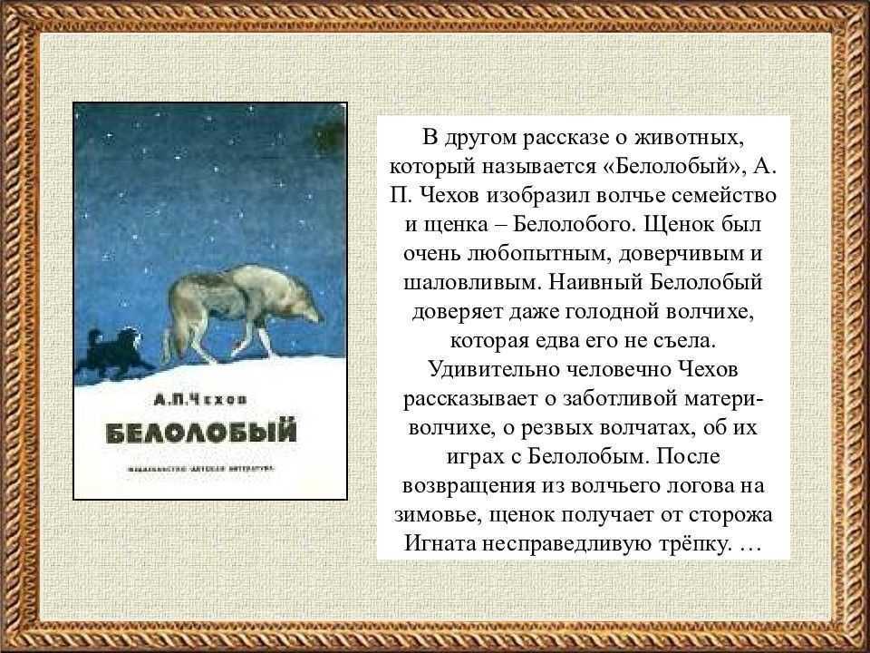 Сочинение по рассказу повесть о настоящем человеке полевого