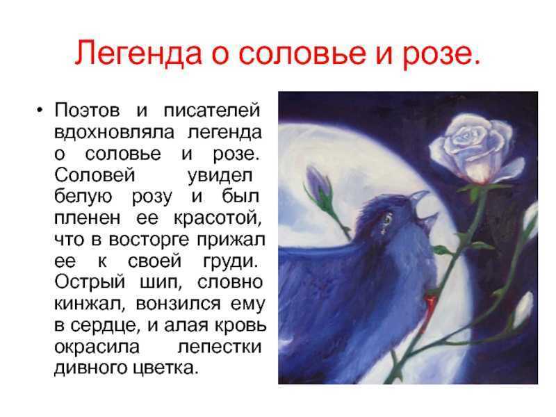 Краткое содержание статьи белинского о герое нашего времени