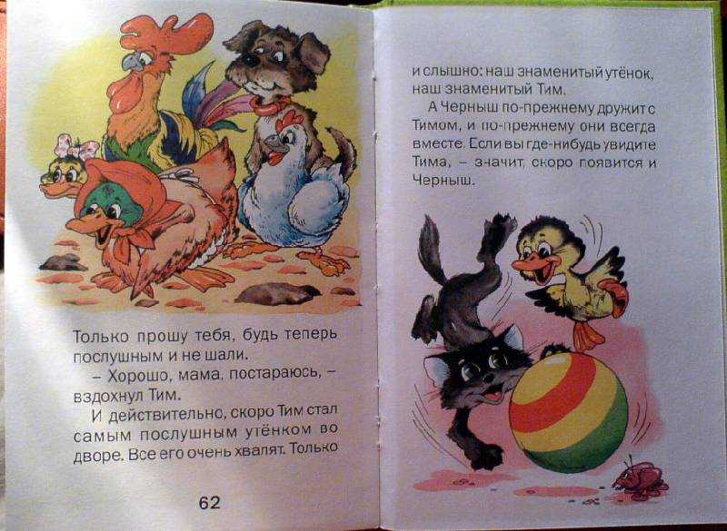 Книга знаменитый утёнок тим читать онлайн энид блайтон