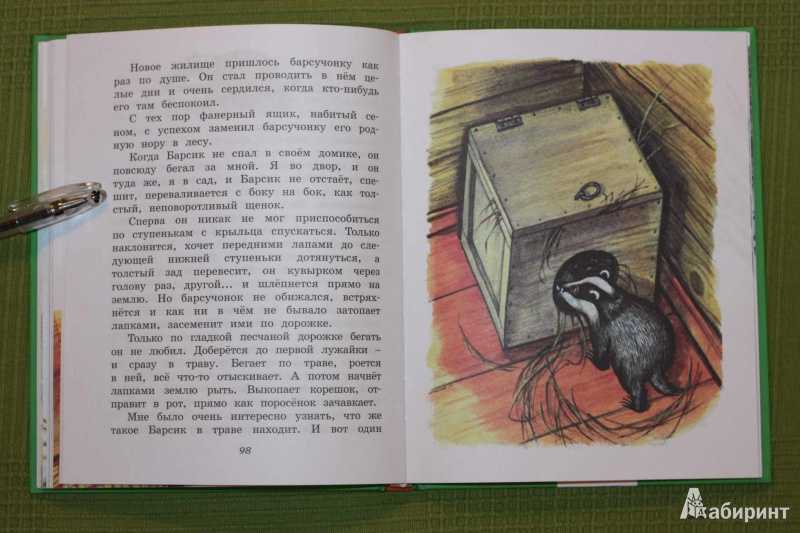 Пушок