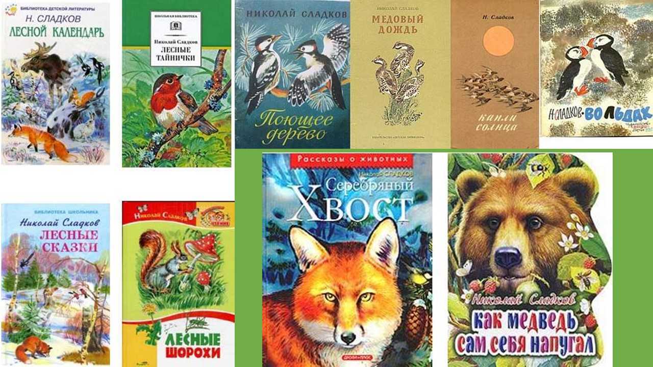 Сказки сладкова о животных