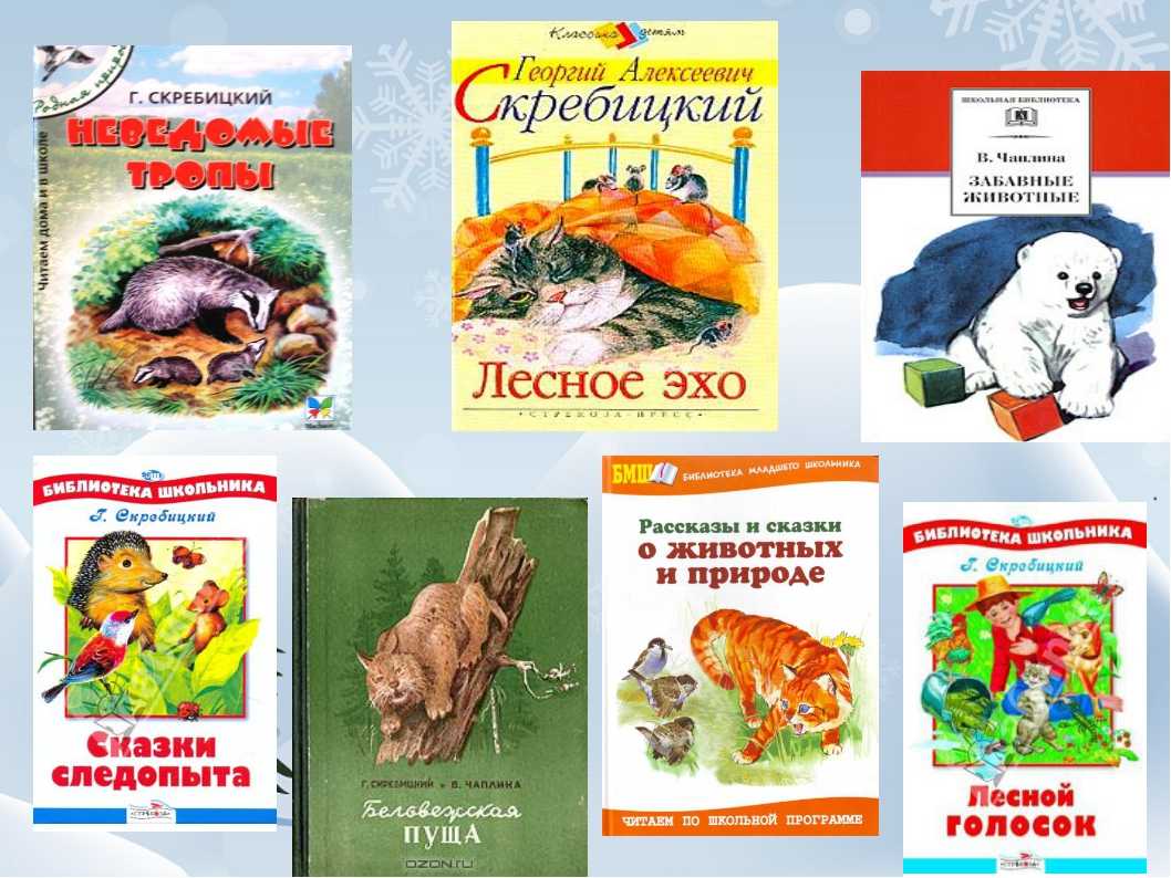 Книги в бианки г скребицкого 1 класс презентация