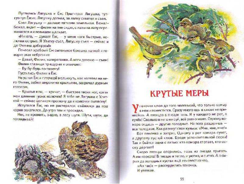 Николай сладков ★ лесные сказки читать книгу онлайн бесплатно