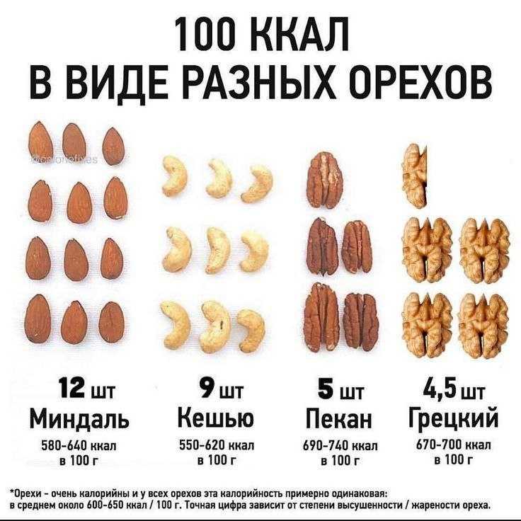Царские грибы рыжики: описание, виды и фото