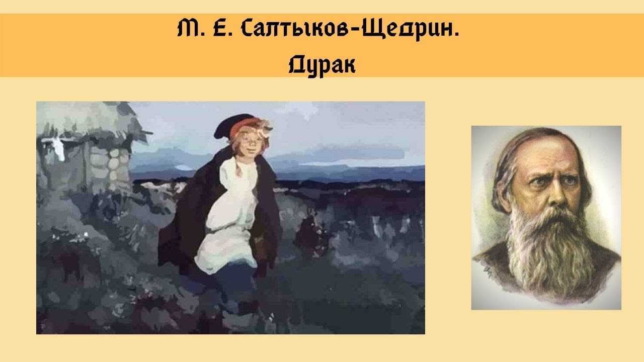 М.е. салтыков-щедрин. либерал