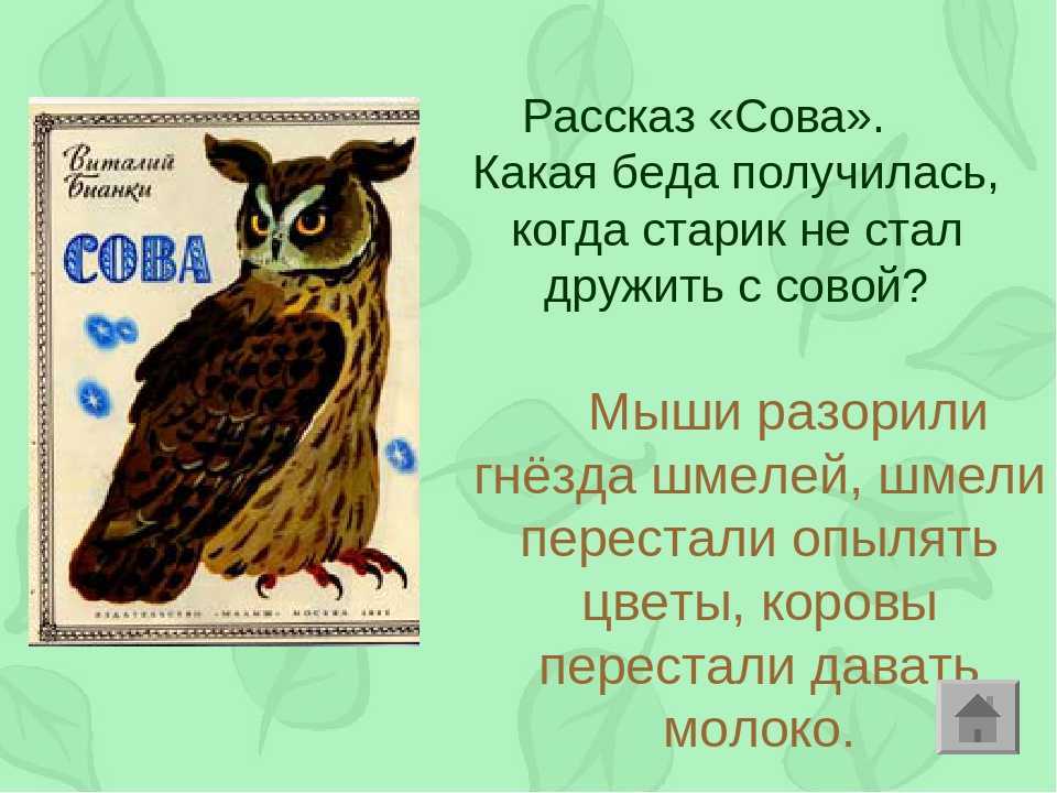 Виталий бианки - сова