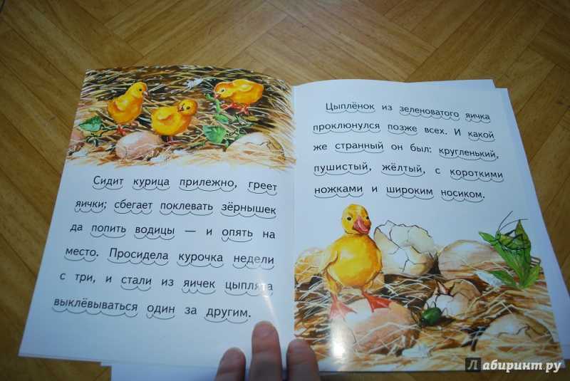 Ушинский «чужое яичко»