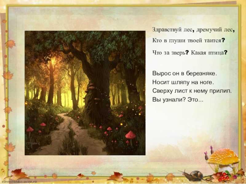 К.г.паустовский "дремучий медведь". краткое содержание сказки