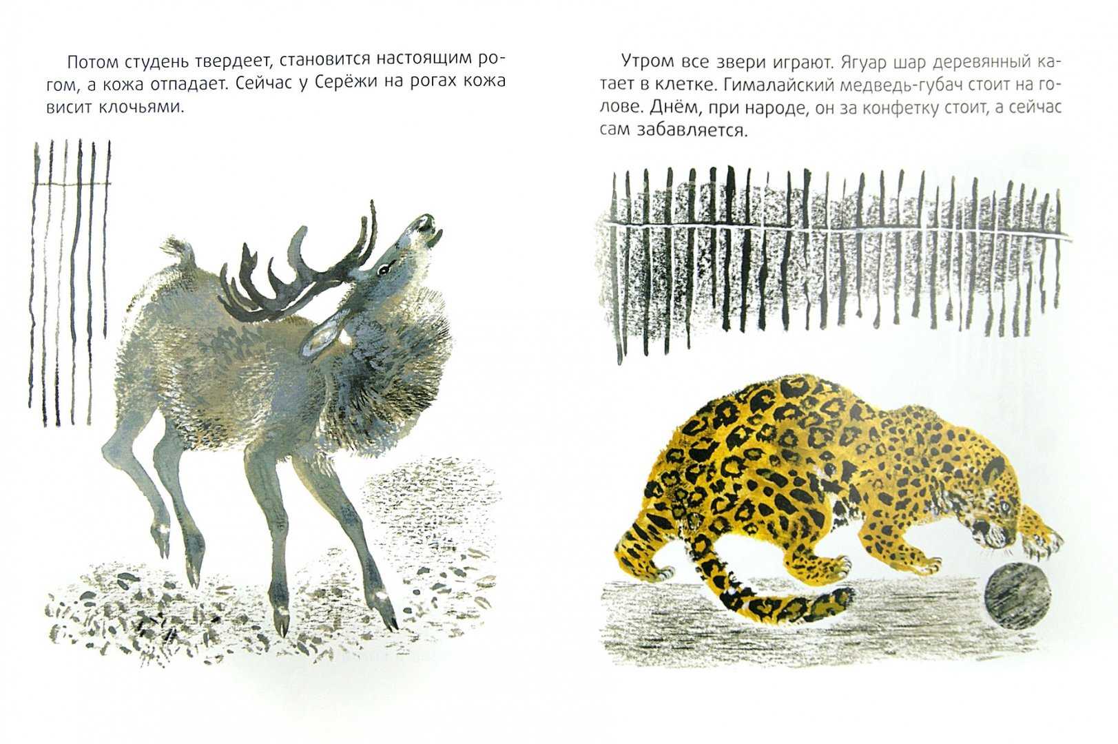Произведения евгения чарушина для детей. читать онлайн