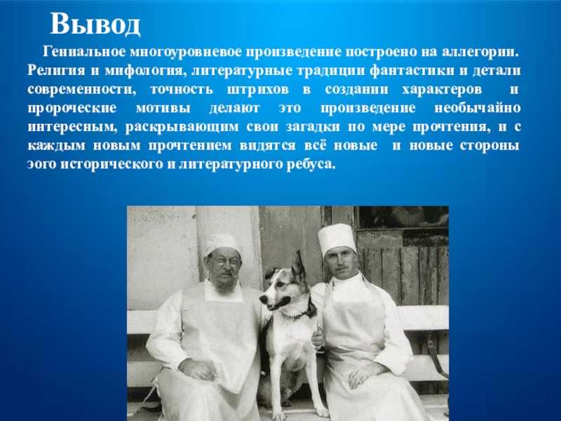 Повесть богомолова иван читать краткое содержание. сочинение на тему: образ юного разведчика в.о. богомолова «иван