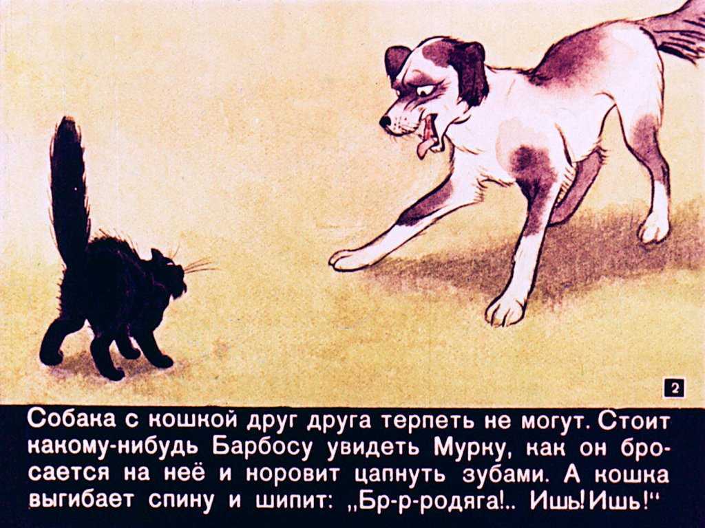 Рубрика: про собак и кошек
