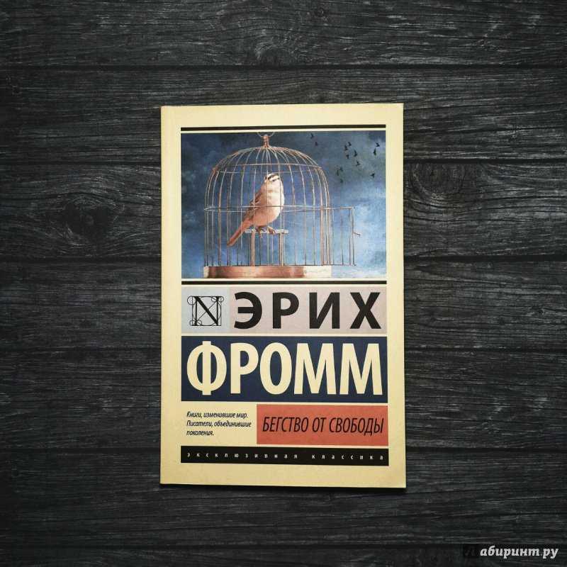 Механизмы бегства от свободы: тезисы эриха фромма | блог 4brain