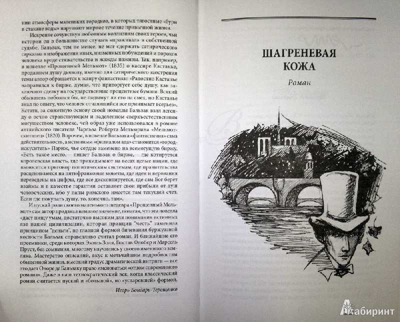 Бальзак - шагреневая кожа: краткое содержание, пересказ для читательского дневника - рустих кратко