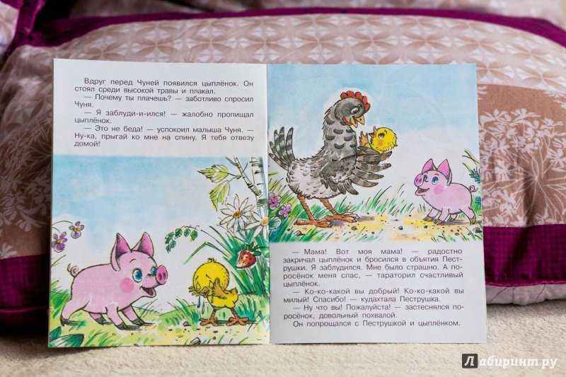 Сказка «поросенок чуня»