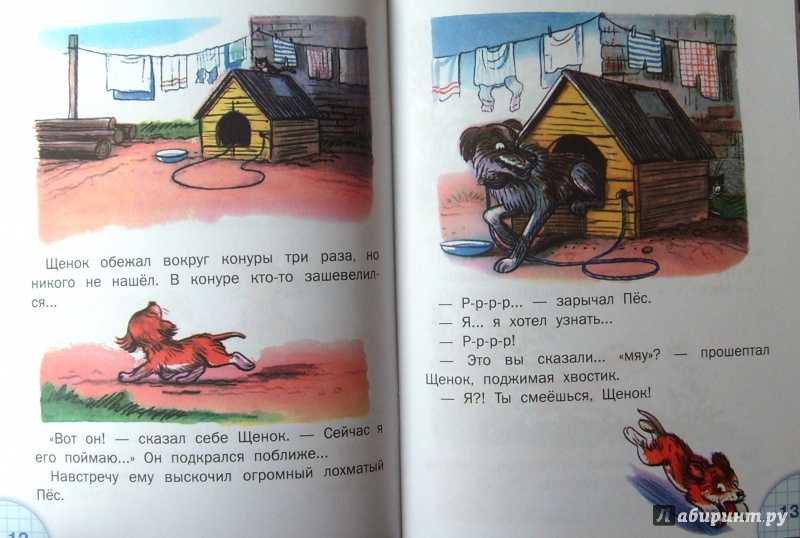 Кто сказал мяу  читать сказку сутеева онлайн