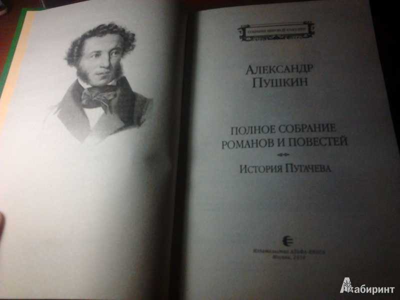 Краткое содержание повести пушкина «история пугачевского бунта»