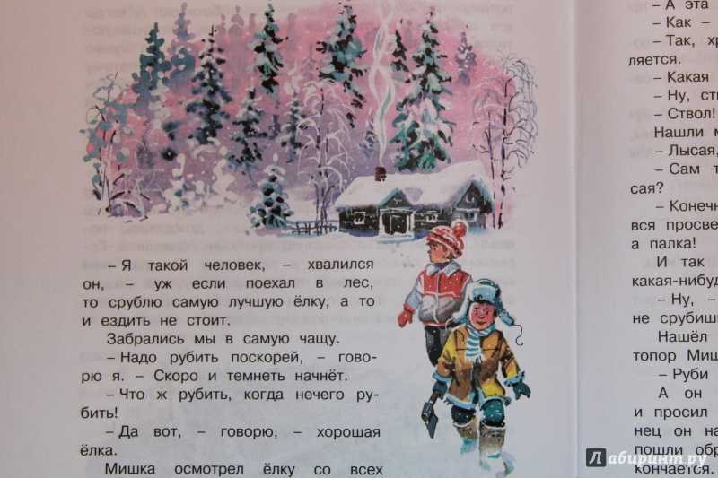 Бенгальские огни — носов н.н. как мишка хотел устроить красивый новый год.