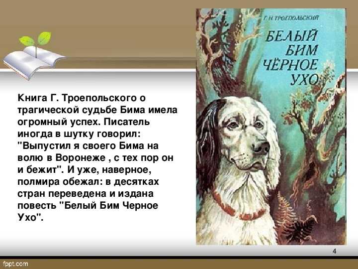 «белый бим черное ухо» краткое содержание для читательского дневника по рассказу троепольского (7 класс) – главная мысль, сюжет, отзыв, вывод