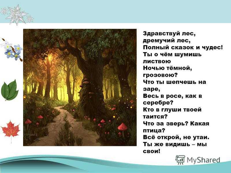 Литературная сказка в отечественной детской литературе