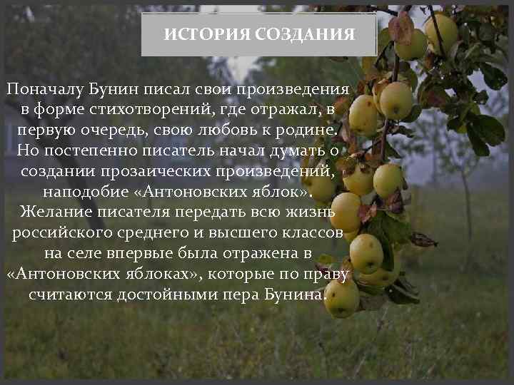 Антоновские яблоки (сборник) - бунин иван алексеевич » онлайн библиотека книг читать онлайн бесплатно и полностью