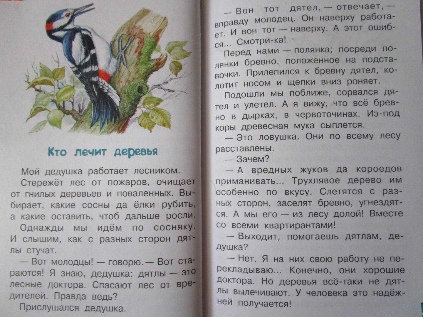 Сумасшедшая птица — рассказ виталия бианки