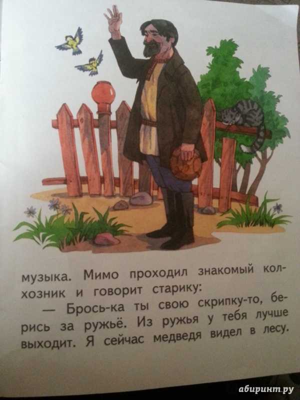Музыкант произведение автор. Бианки музыкант. Расказ Бианки "музыкант". Иллюстрации к рассказу Бианки музыкант.