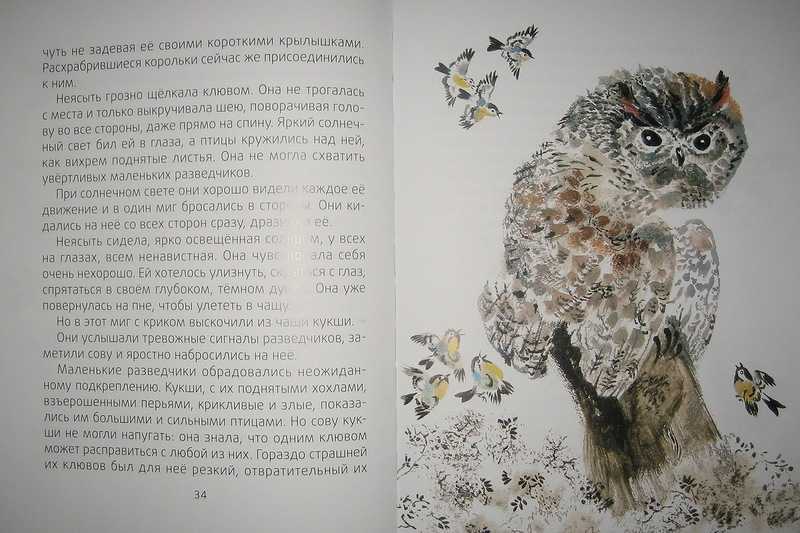 Сова