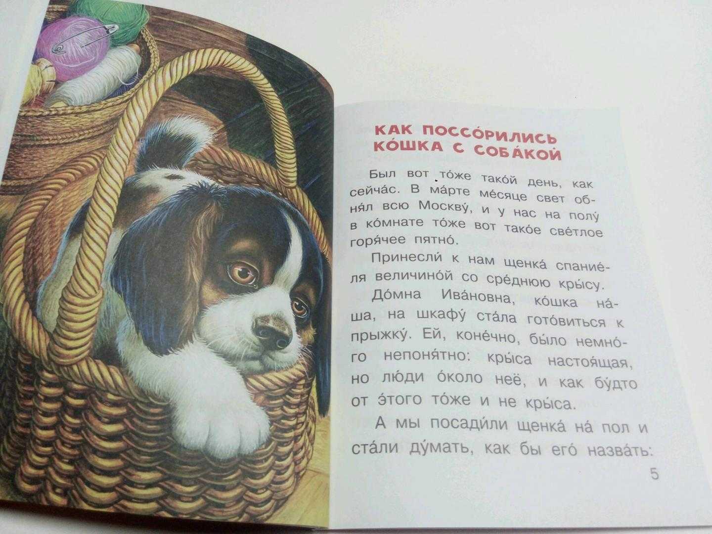 Рассказы пришвина для 3 класса