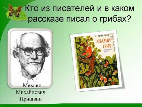 Старый гриб — рассказ михаила пришвина